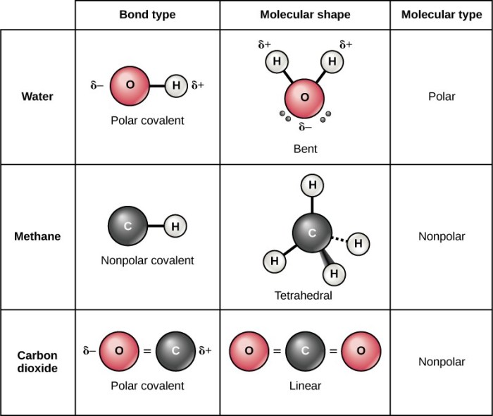 Nonpolar polar bonds determine molecules