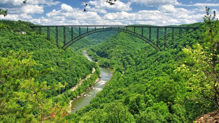 New river gorge bridge jumper