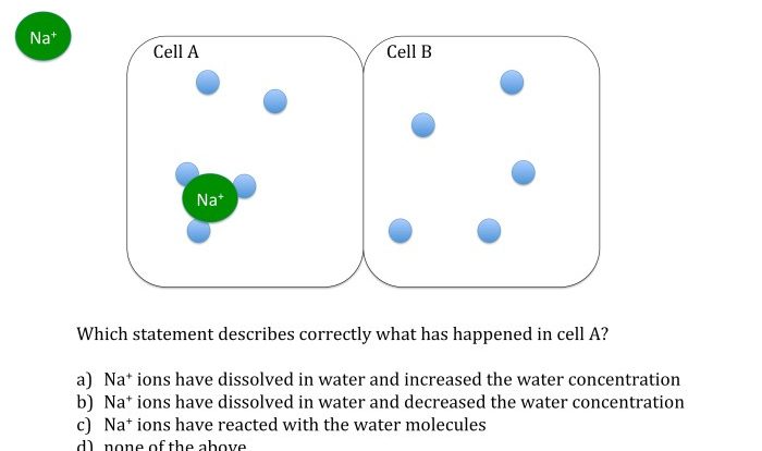 Diffusion and osmosis problems answer key