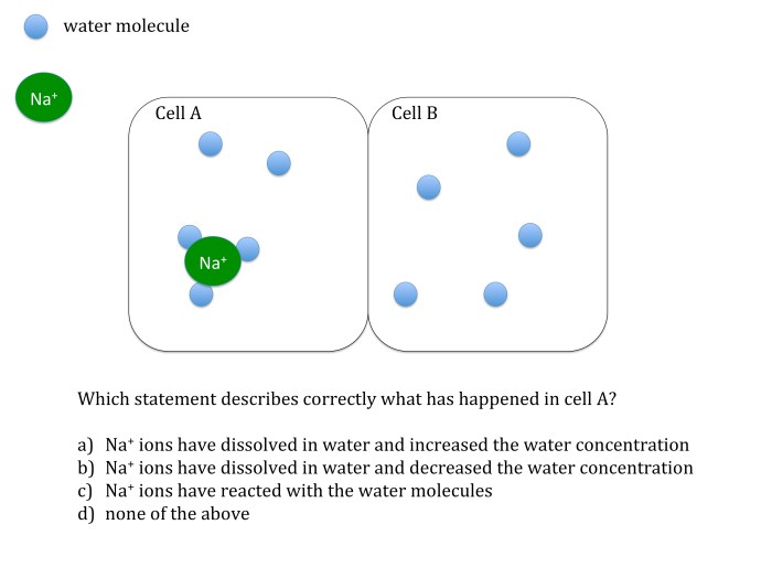 Diffusion and osmosis problems answer key