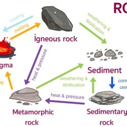 Rocks and the rock cycle worksheet answers