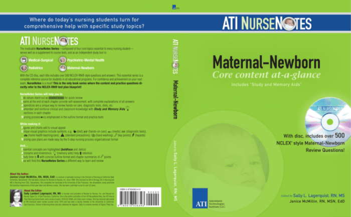 Rn maternal newborn online practice 2019 b with ngn