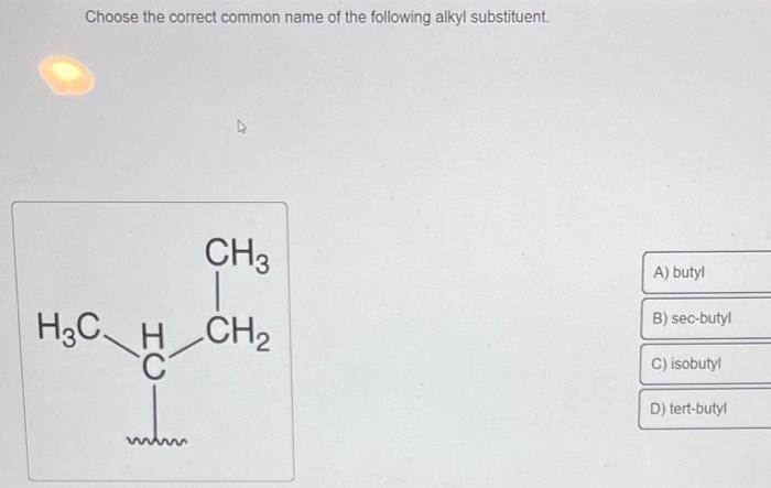 Choose the correct common name of the following alkyl substituent.