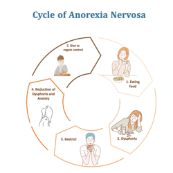 Anorexia nervosa diagnosis neurobiology dopamine serotonin abnormalities psychscenehub