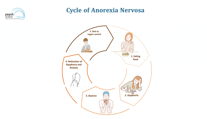 Anorexia nervosa diagnosis neurobiology dopamine serotonin abnormalities psychscenehub