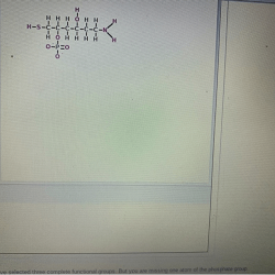 Highlight all the atoms of the four functional groups