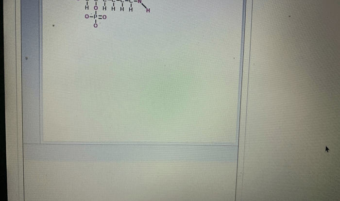 Highlight all the atoms of the four functional groups